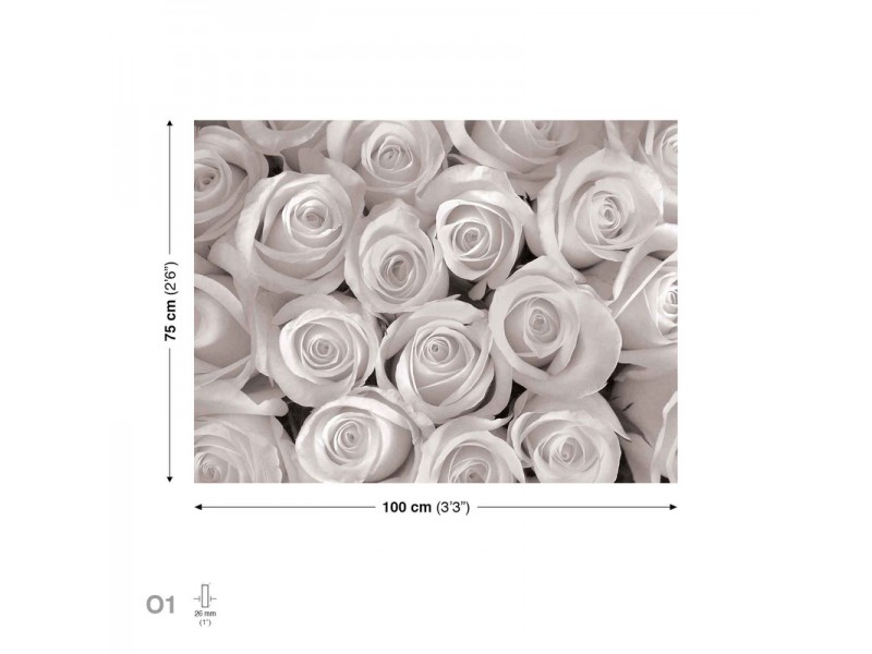 Canvastavla White Roses Flowers (PP1566O1)